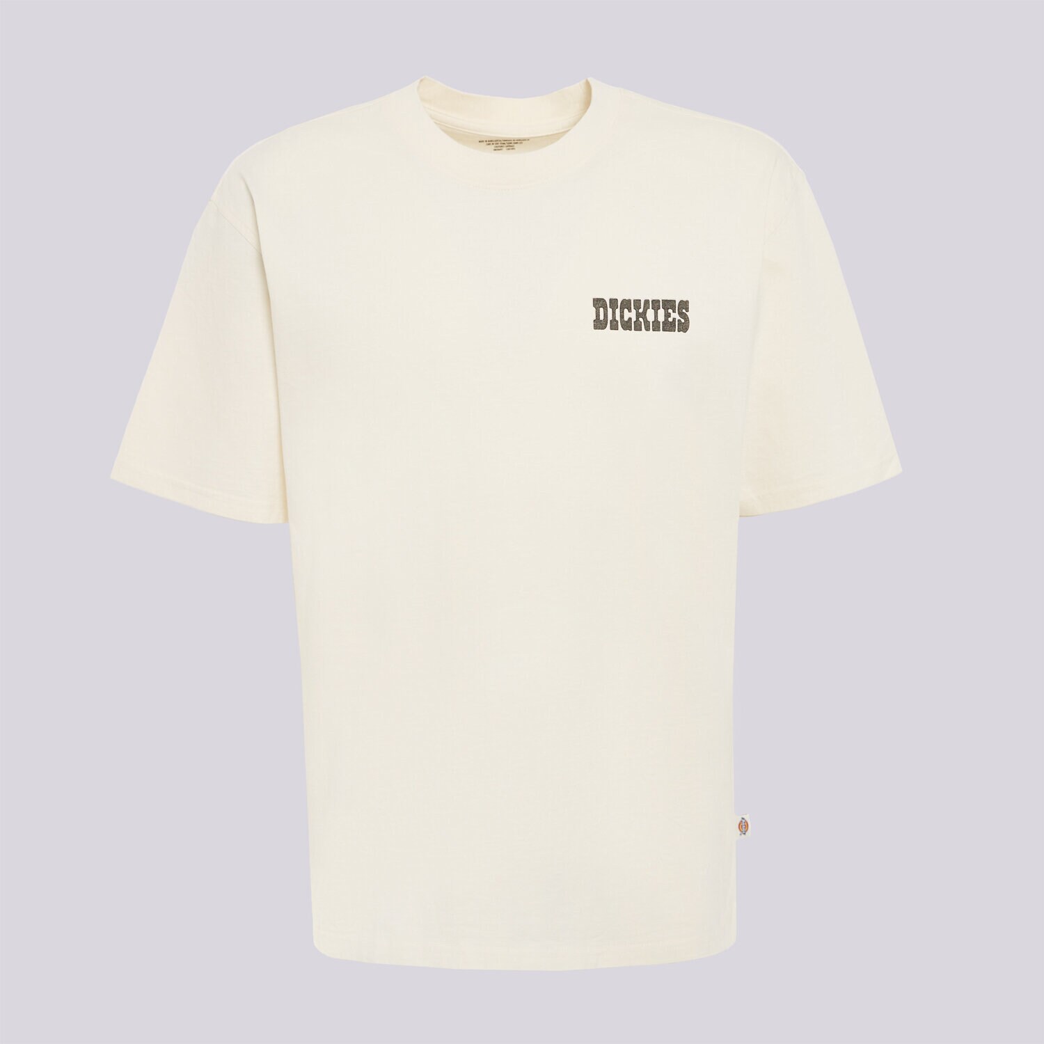 Bărbați tricou DICKIES TRICOU BUCHTELL SS TEE DK0A883BC481 Alb