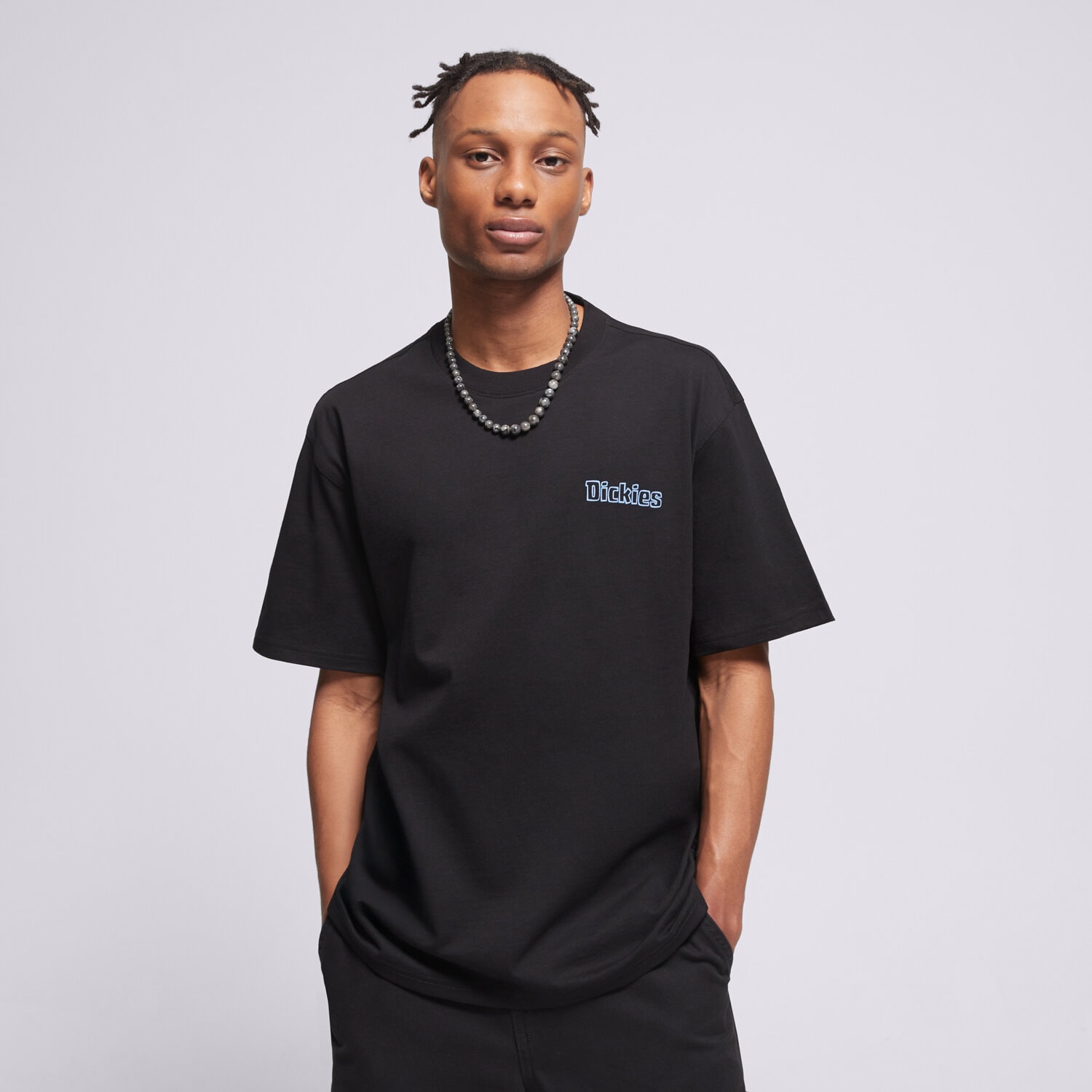 Bărbați tricou DICKIES TRICOU FAIRLAWN SS TEE DK0A88GEBLK1 Negru