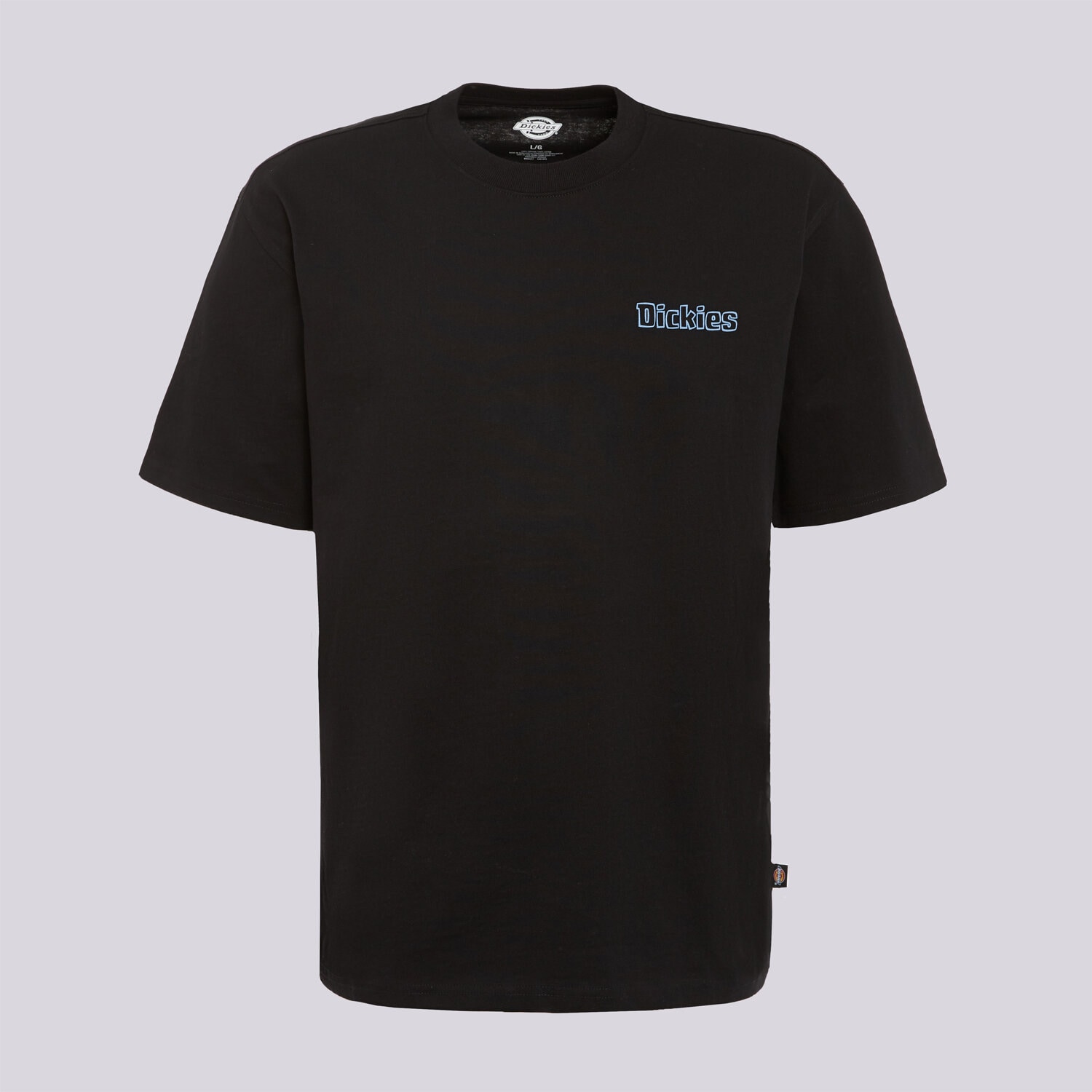 Bărbați tricou DICKIES TRICOU FAIRLAWN SS TEE DK0A88GEBLK1 Negru