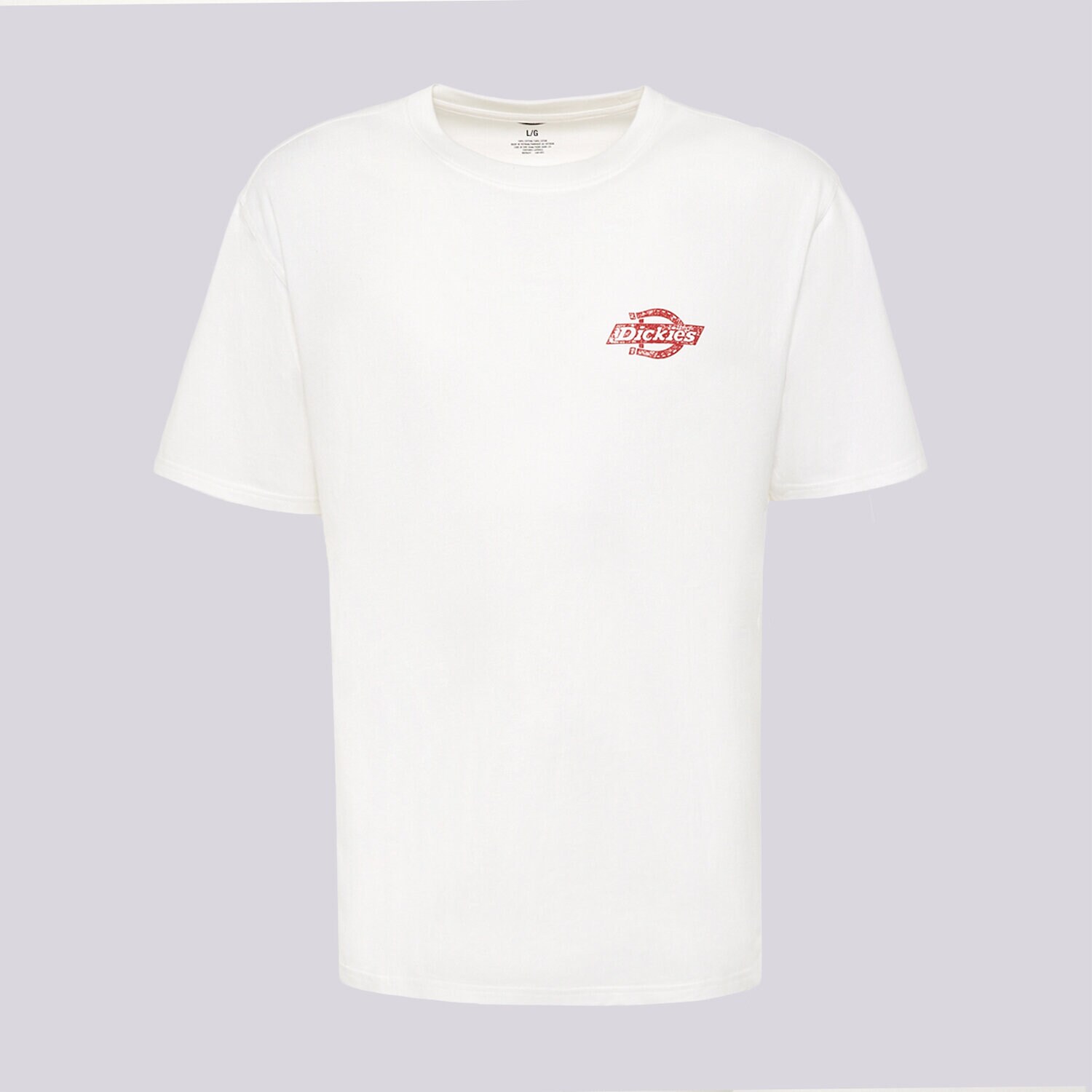 Bărbați tricou DICKIES TRICOU CHINLE SS TEE DK0A8DTF0WH1 Alb