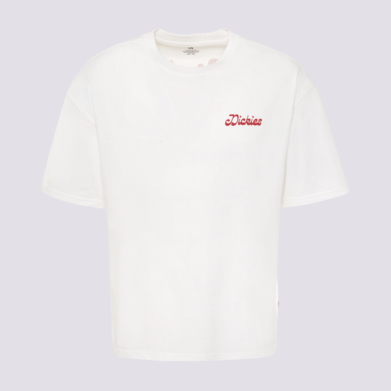 Bărbați tricou DICKIES TRICOU CORNVILLE SS TEE DK0A8D3I0WH1 Alb