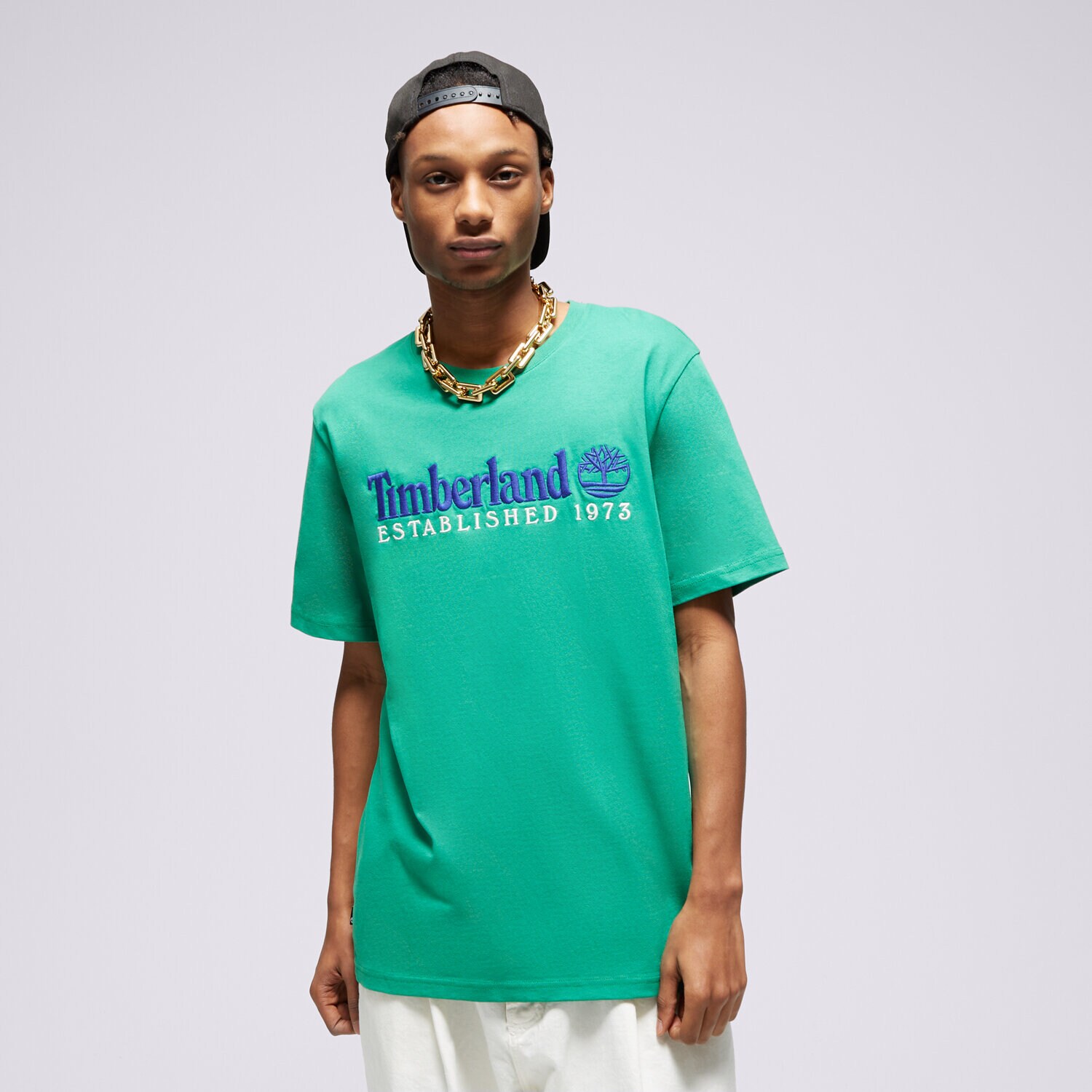 Bărbați tricou TIMBERLAND TRICOU SS EST. 1973 CREW TEE REGULAR TB0A6SE1ED31 Verde