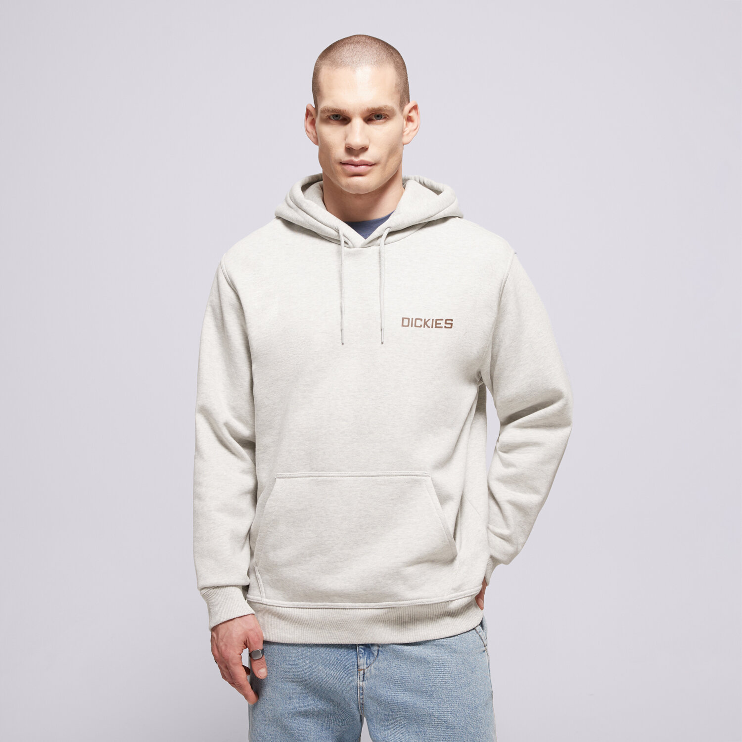 Bărbați bluză DICKIES BLUZĂ CU GLUGĂ PAYSON HOODIE DK0A88POA281 Gri