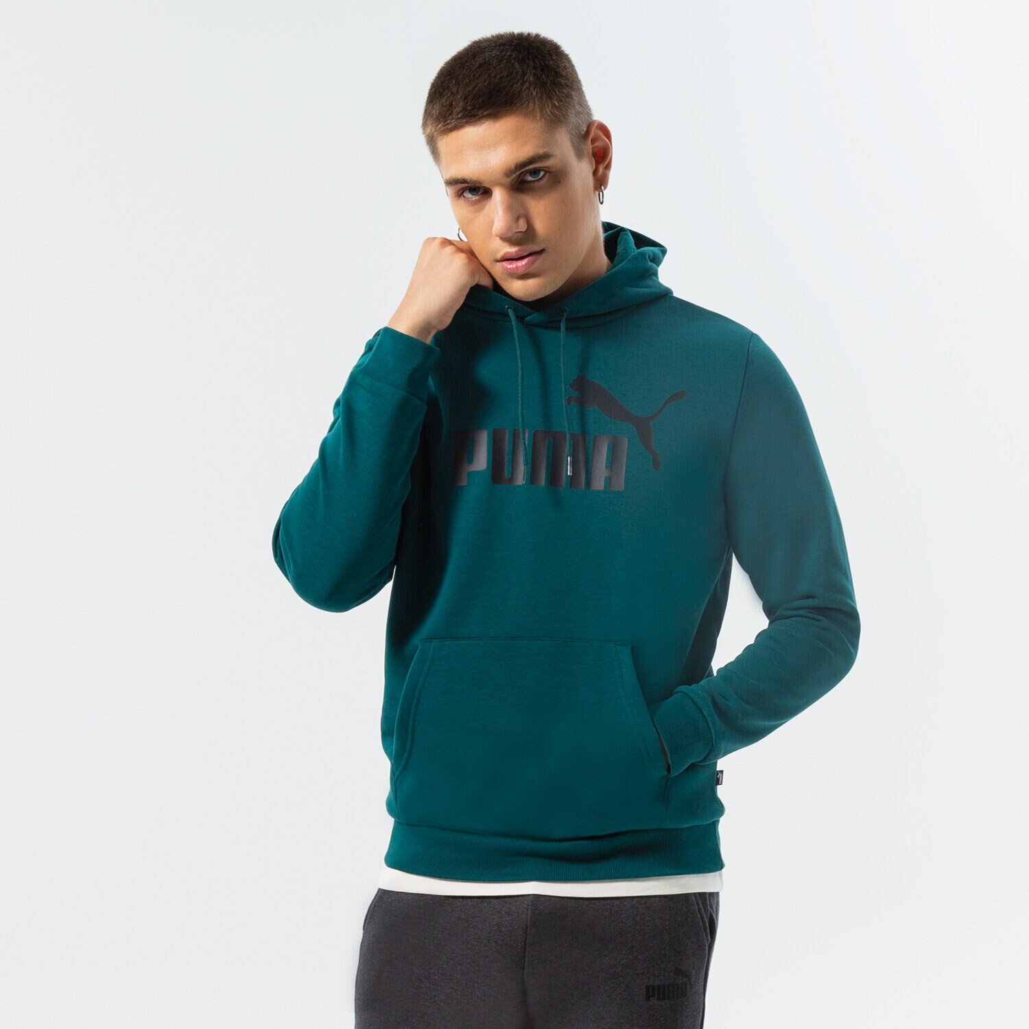 Bărbați bluză PUMA BLUZĂ CU GLUGĂ ESS BIG LOGO HOODIE FL (S) 586687 20 Verde