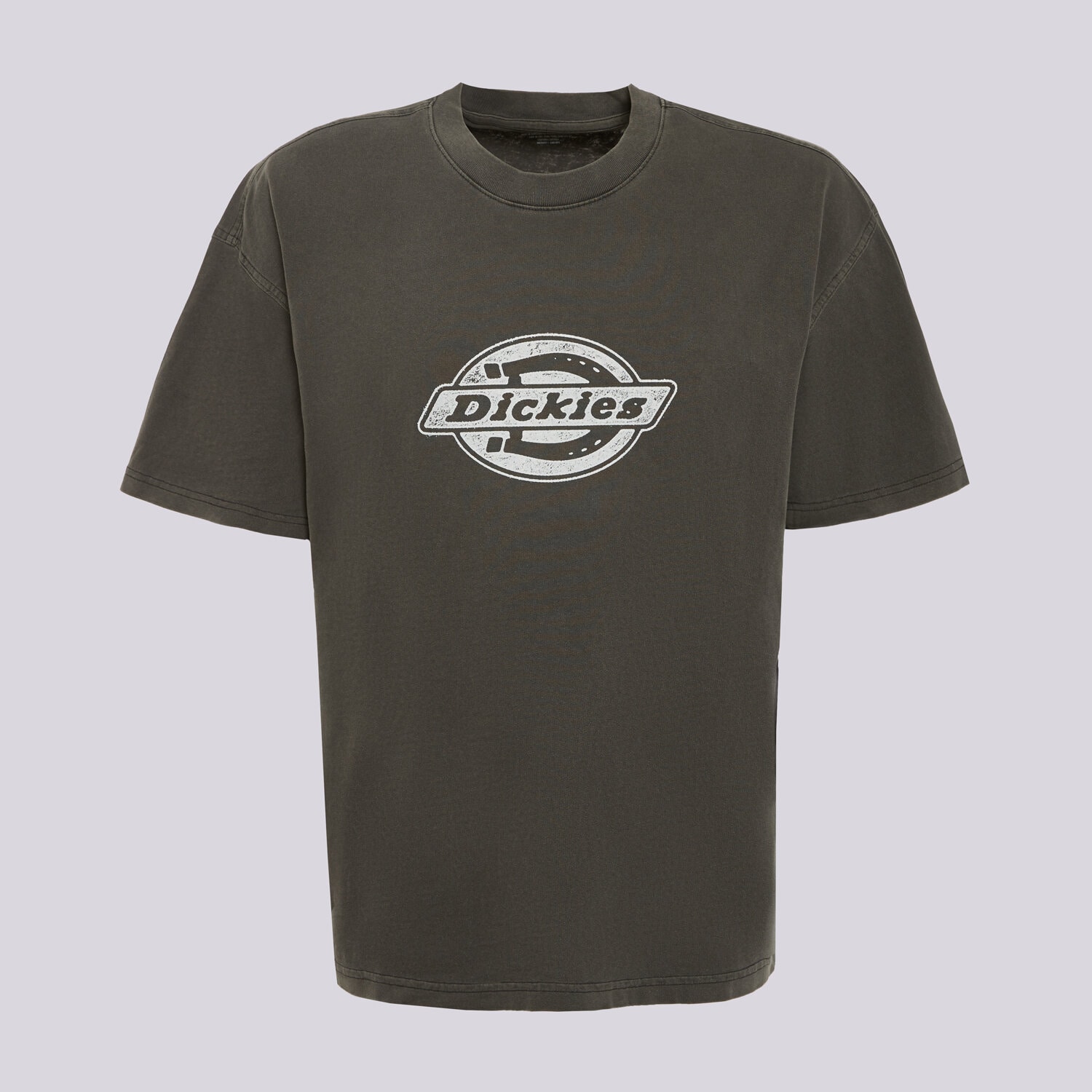 Bărbați tricou DICKIES TRICOU PLAINVILLE SS TEE DK0A88GNBLK1 Gri