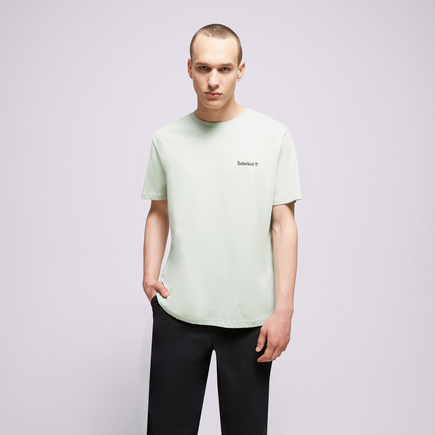 Bărbați tricou TIMBERLAND TRICOU SMALL LOGO PRINT LOGO TEE TB0A5PGZQ431 verde mentă