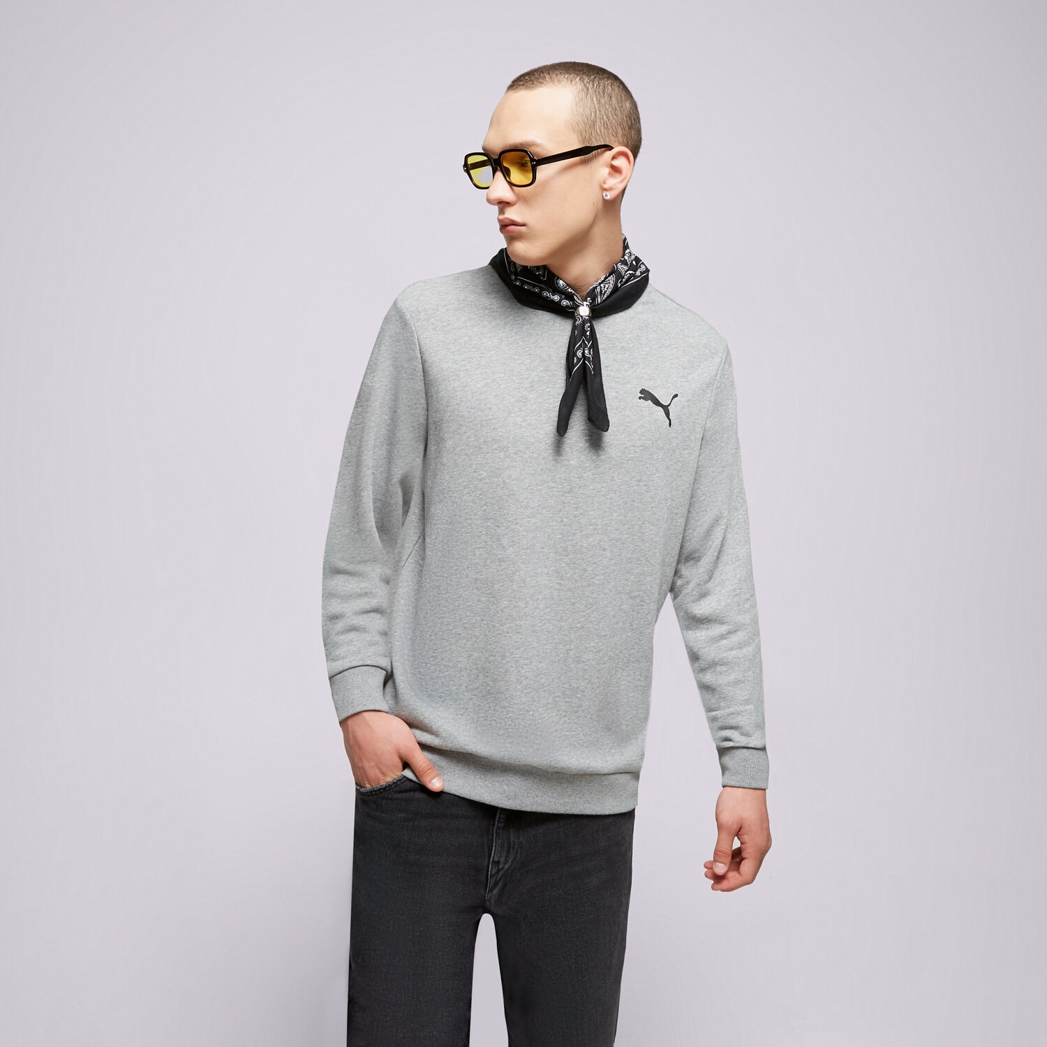 Bărbați bluză PUMA BLUZĂ ESS SMALL LOGO CREW TR 58668453 Gri