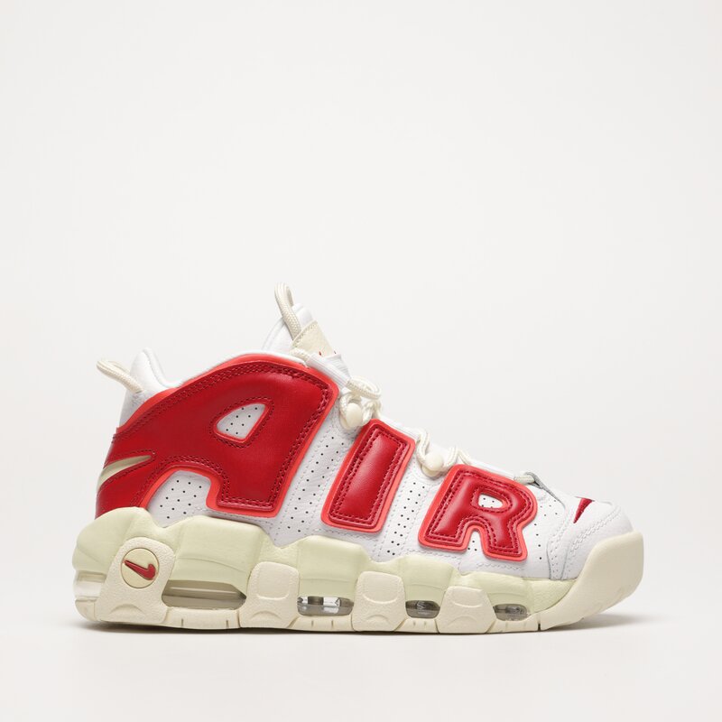 Nike hotsell uptempo bleu