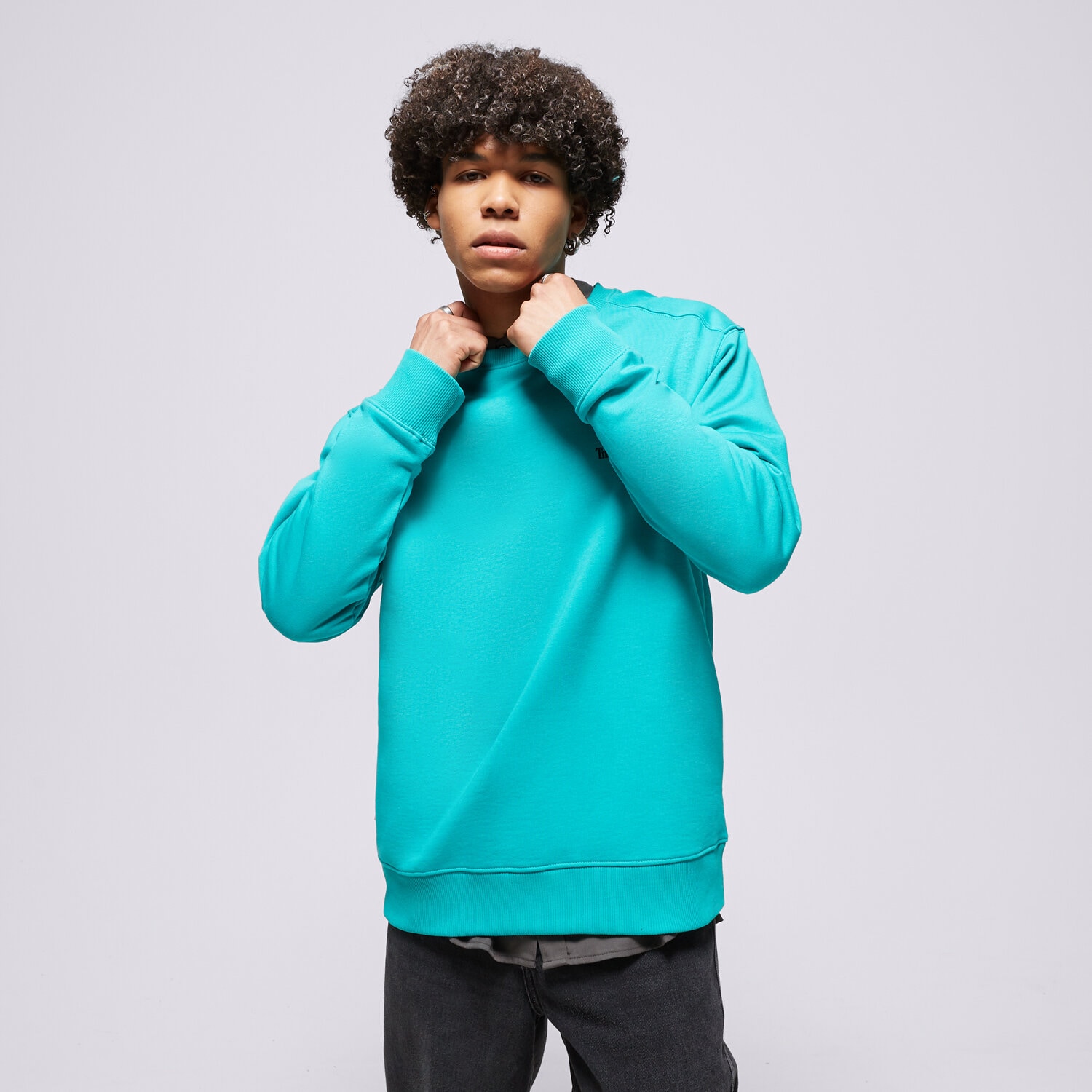 Bărbați bluză TIMBERLAND BLUZĂ SMALL LOGO PRINT TB0A5PDVE341 Albastru