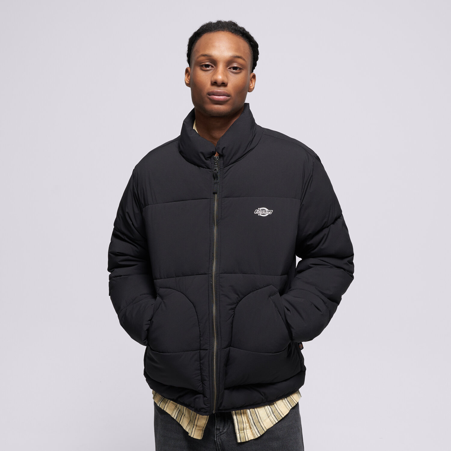Dickies Jachetă De Iarnă Summerdale Puffer